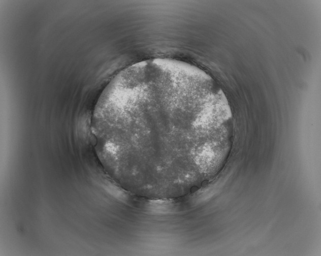 X0000112010240200908311140