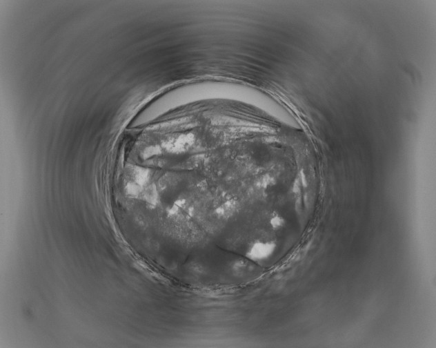 X0000112010241200908311140