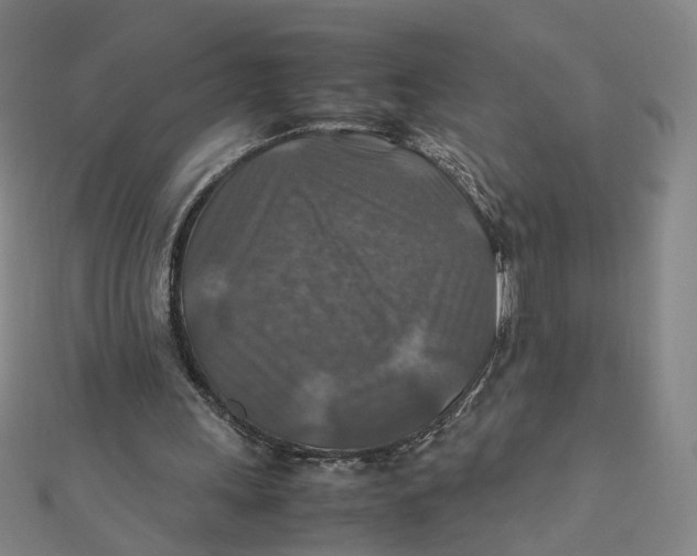 X0000112010243200908311140