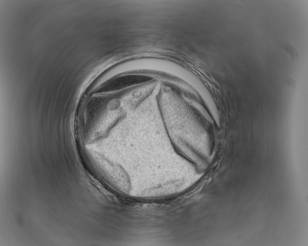 X0000112010244200908311140