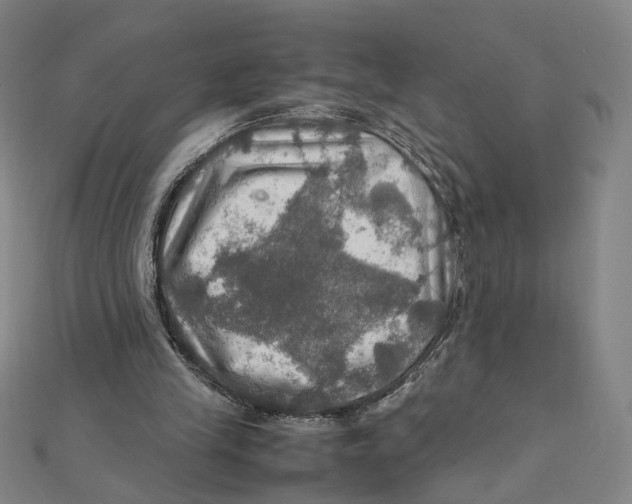 X0000112010245200908311140