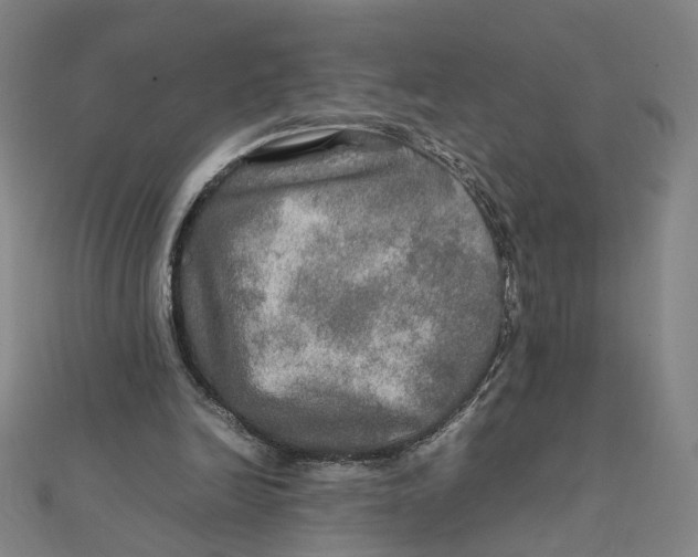 X0000112010246200908311140