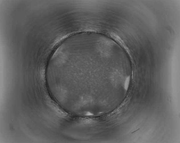 X0000112010249200908311140