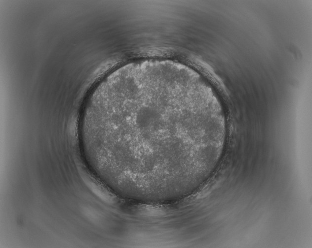 X0000112010250200908311140
