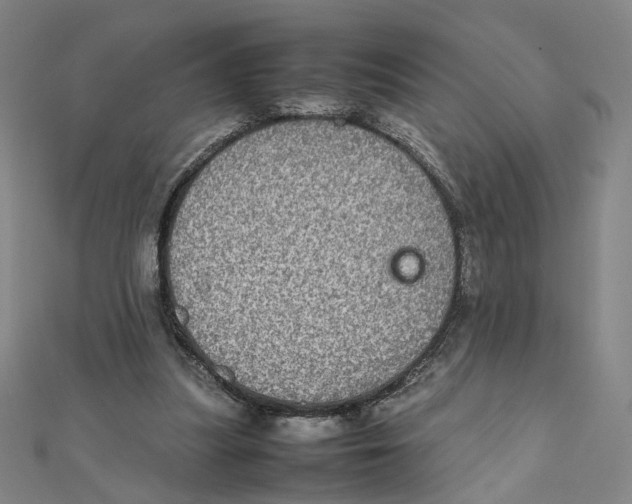 X0000112010251200908311140