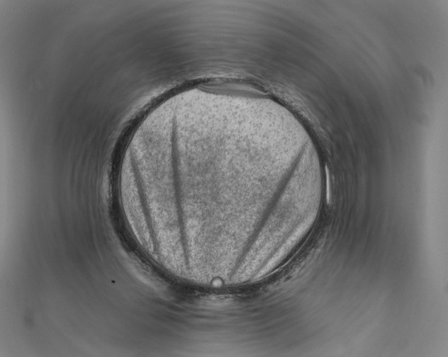 X0000112010252200908311140