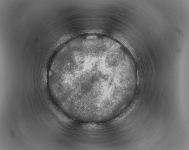 X0000112010253200908311140