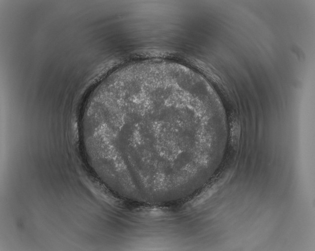 X0000112010254200908311140