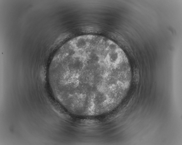 X0000112010255200908311140