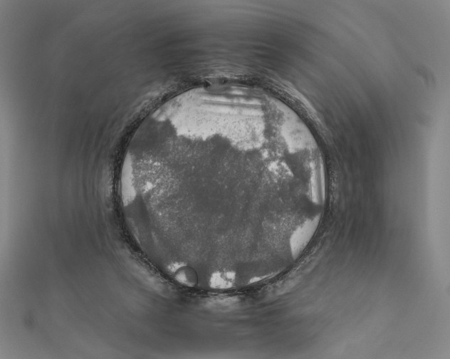 X0000112010257200908311140