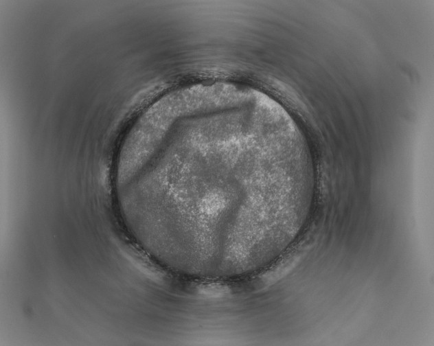 X0000112010258200908311140