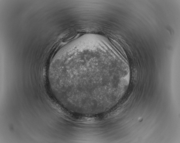 X0000112010260200908311140