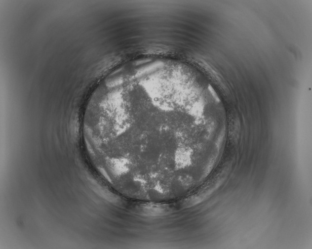 X0000112010261200908311140