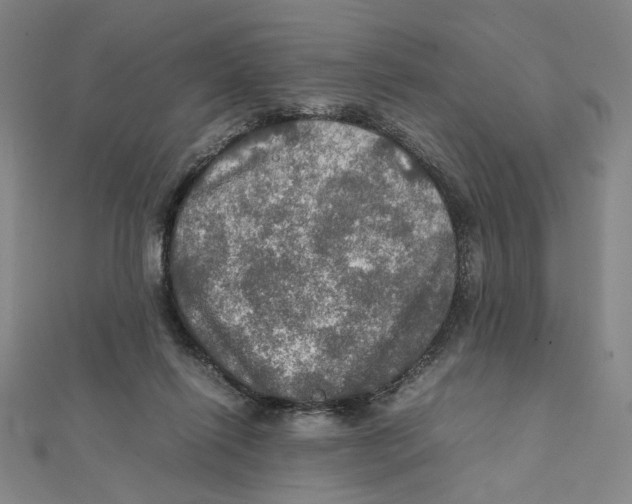 X0000112010262200908311140