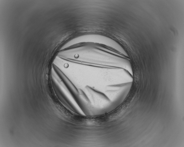 X0000112010264200908311140