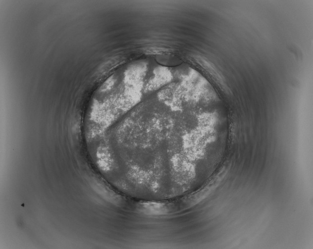 X0000112010265200908311140