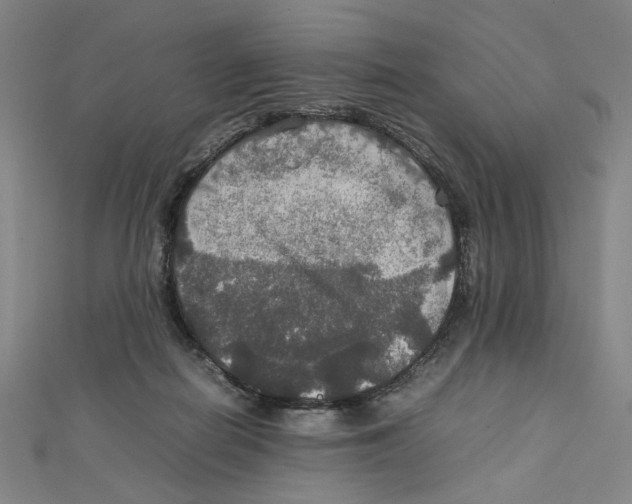 X0000112010266200908311140