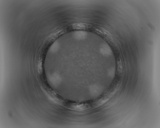 X0000112010267200908311140