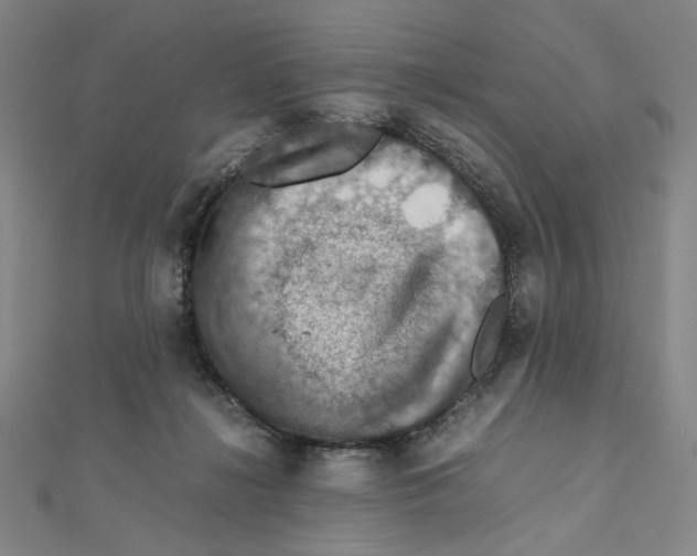 X0000112010268200908311140