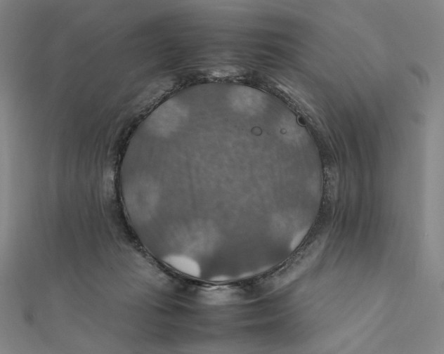 X0000112010269200908311140