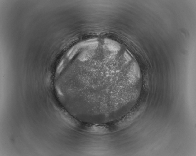 X0000112010270200908311140