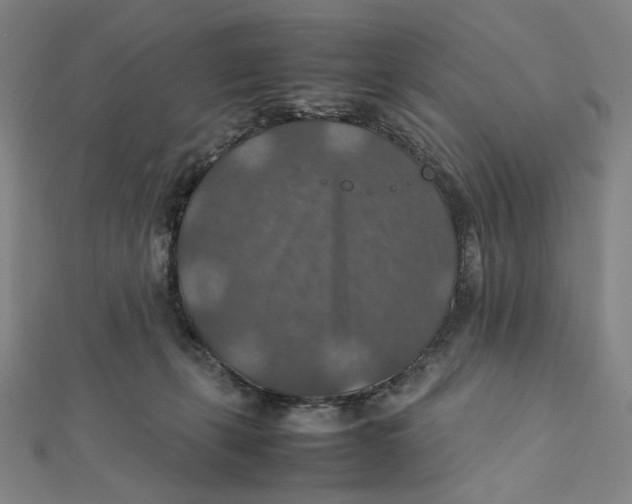X0000112010271200908311140