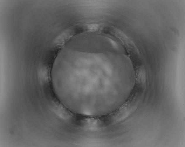 X0000112010272200908311140
