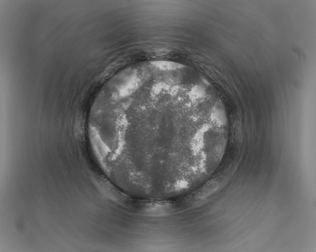 X0000112010274200908311140