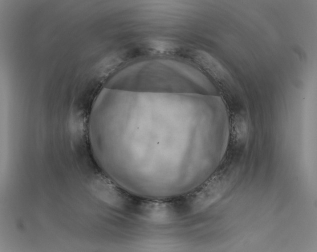 X0000112010276200908311140