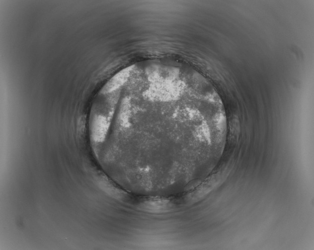 X0000112010278200908311140