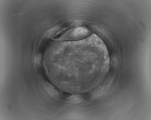 X0000112010280200908311140