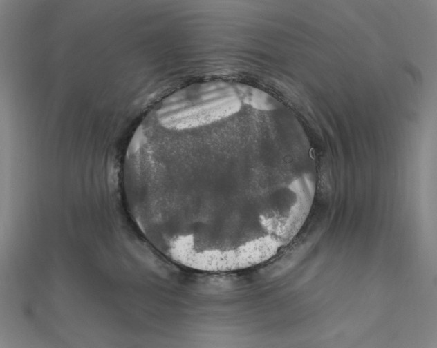 X0000112010282200908311140