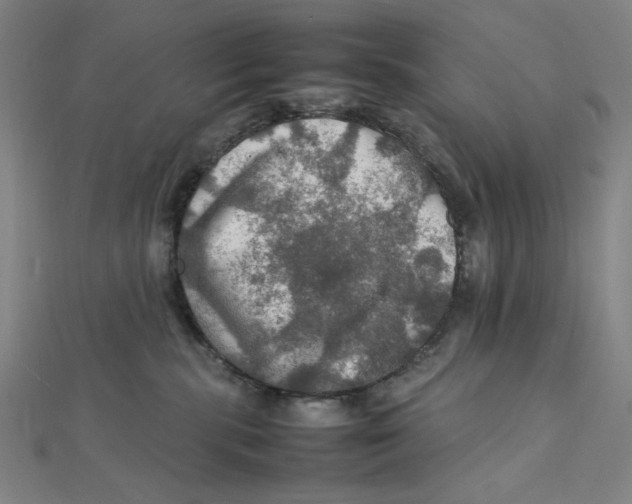 X0000112010283200908311140