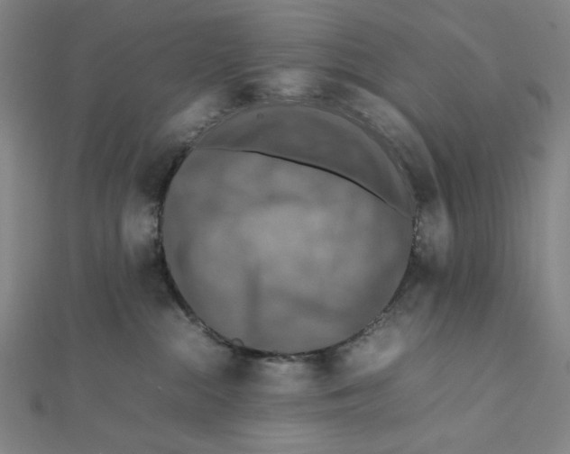 X0000112010284200908311140