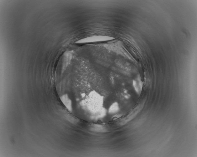 X0000112010285200908311140
