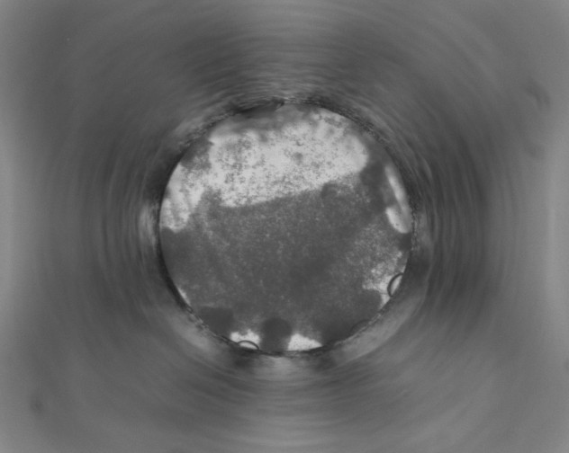 X0000112010286200908311140