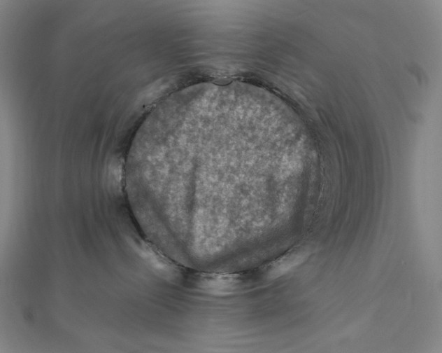 X0000112010288200908311140
