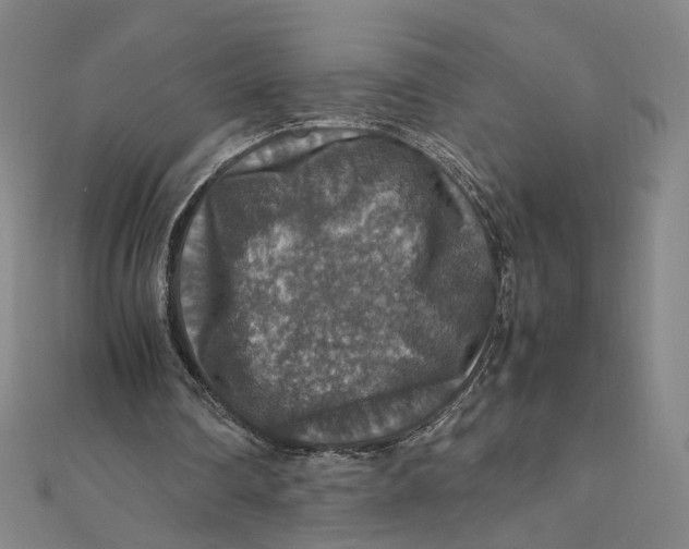 X0000112010290200908311140
