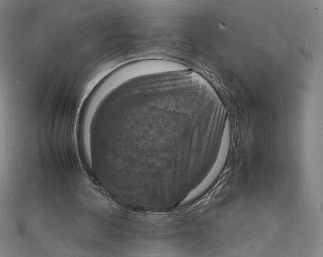 X0000112010292200908311140