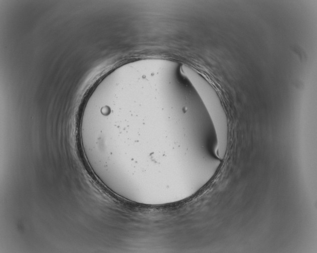 X0000112010293200908311140