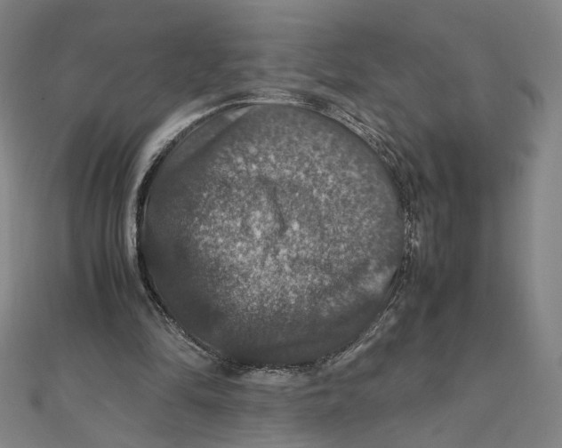 X0000112010294200908311140