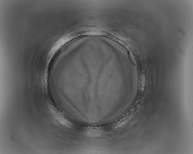 X0000112010296200908311139