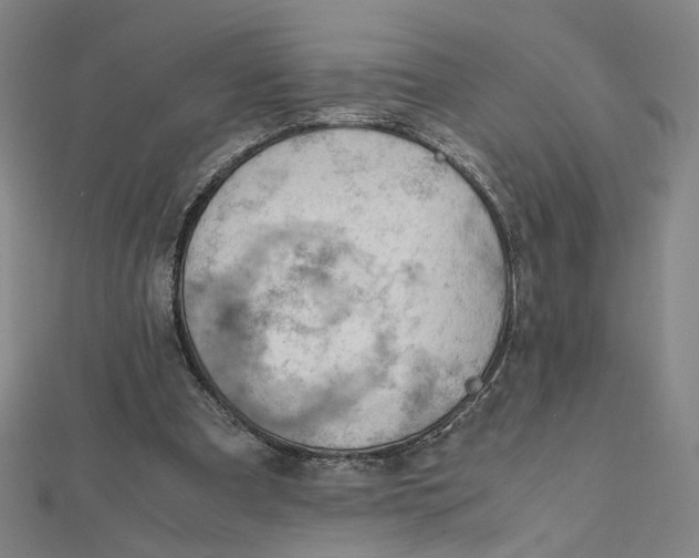 X0000112010297200908311139