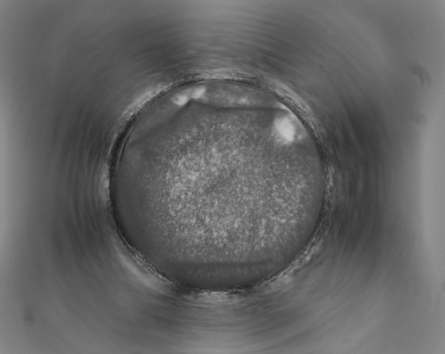 X0000112010298200908311139
