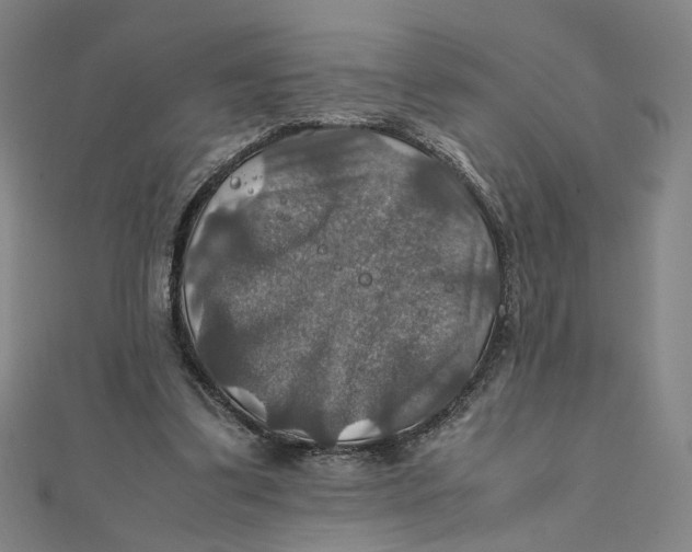 X0000112010299200908311139