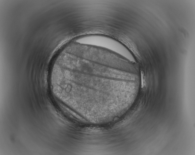 X0000112010300200908311139