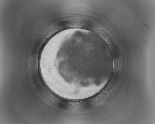 X0000112010301200908311139