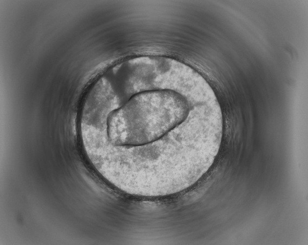 X0000112010302200908311139
