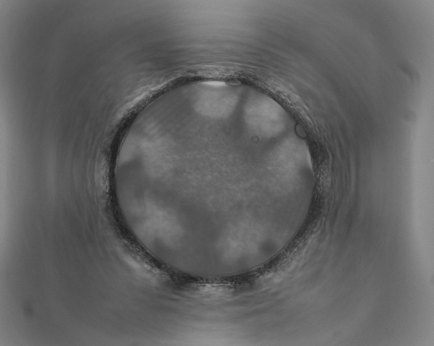 X0000112010303200908311139
