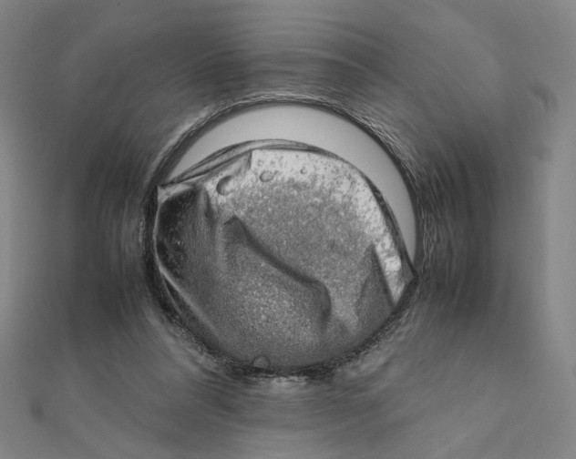 X0000112010304200908311139